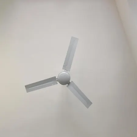 Viabalduini2 A